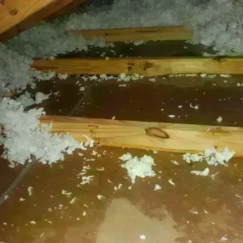 Attic Water Damage in Jefferson County, OR