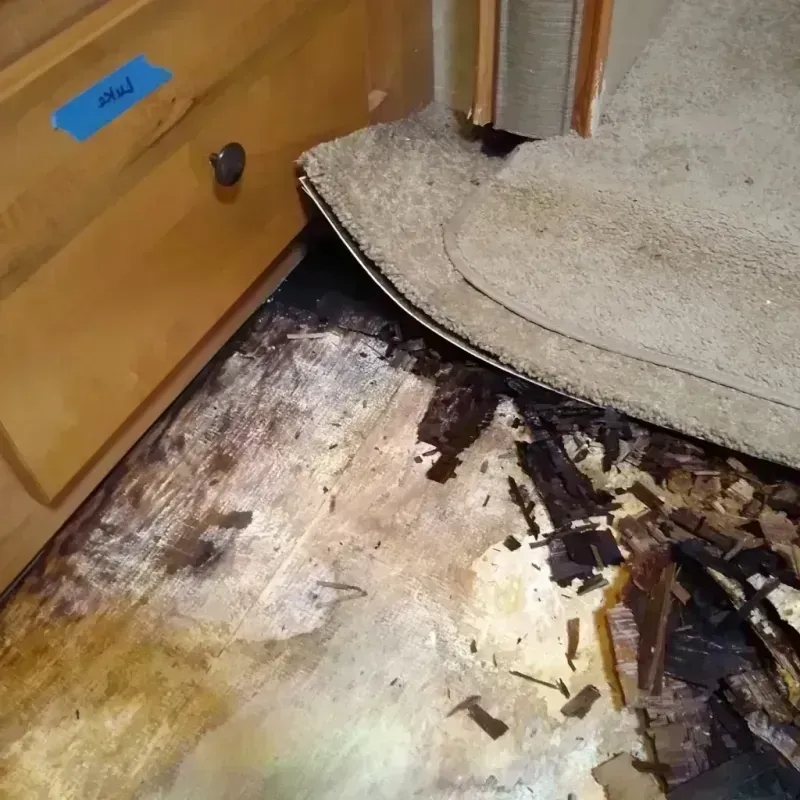 Wood Floor Water Damage in Jefferson County, OR